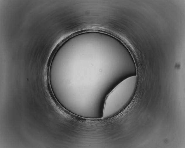 X0000100881032200806201142