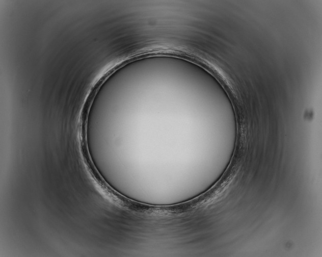X0000100881034200806201142