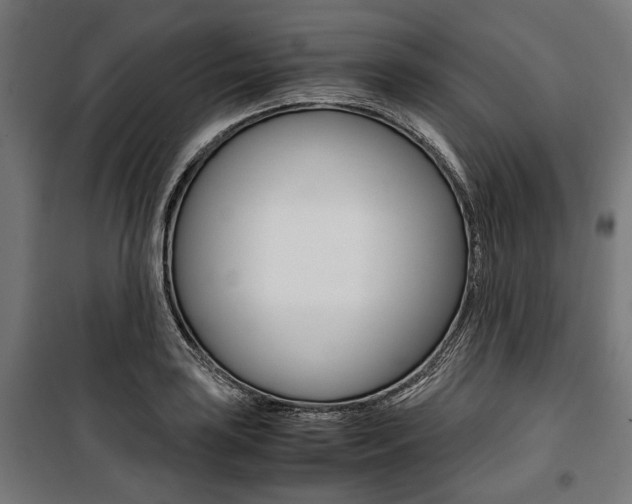 X0000100881035200806201142