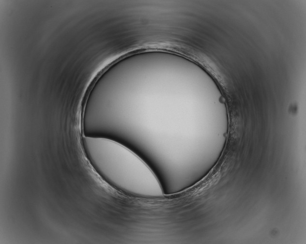 X0000100881036200806201142