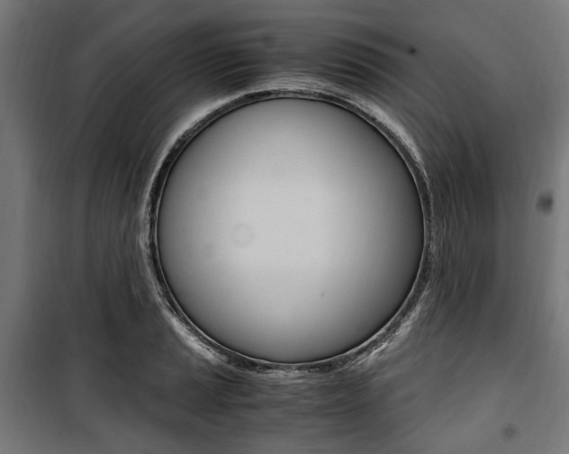 X0000100881037200806201142