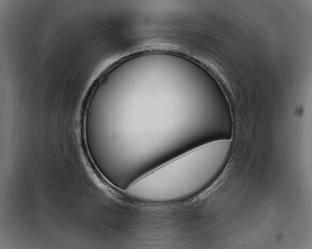 X0000100881038200806201142