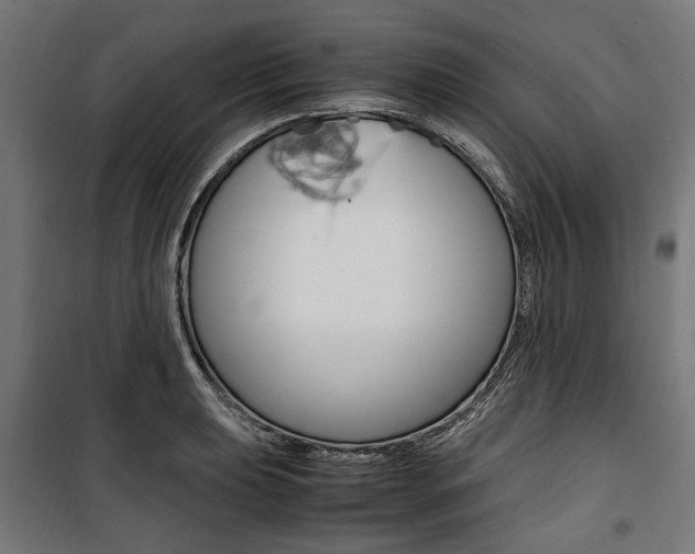 X0000100881039200806201142