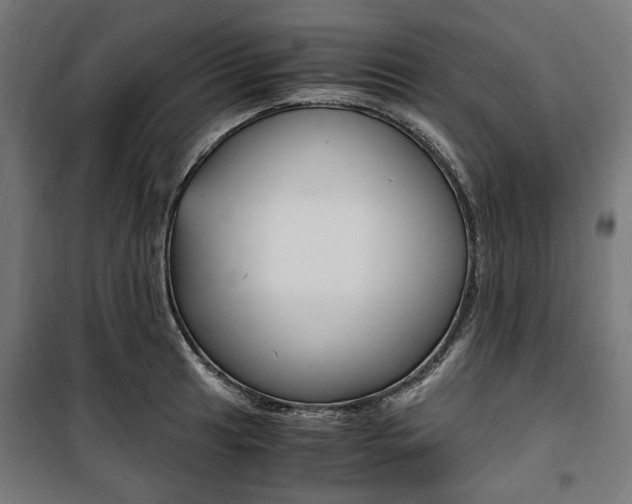 X0000100881041200806201142