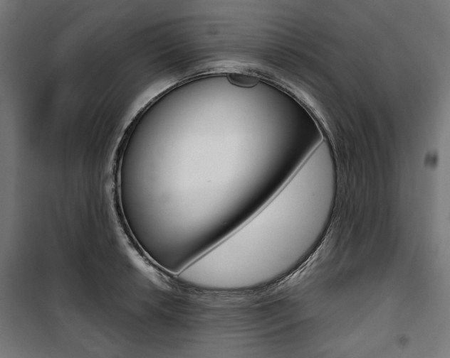 X0000100881042200806201142