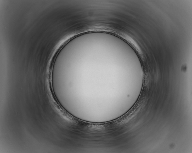 X0000100881043200806201142