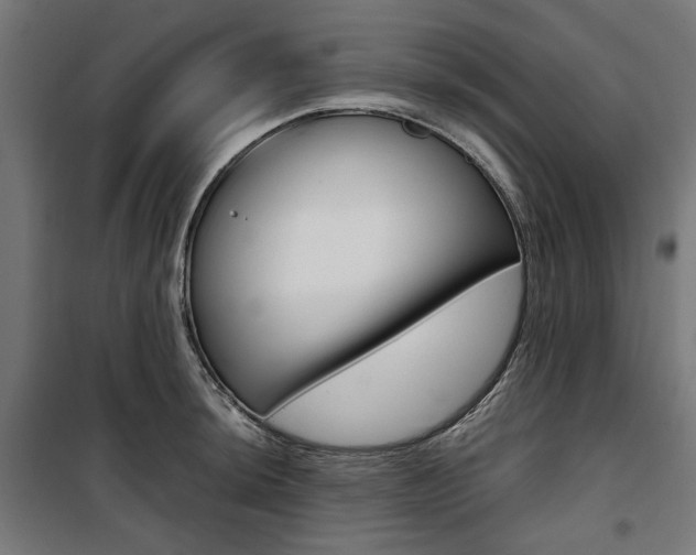 X0000100881044200806201142