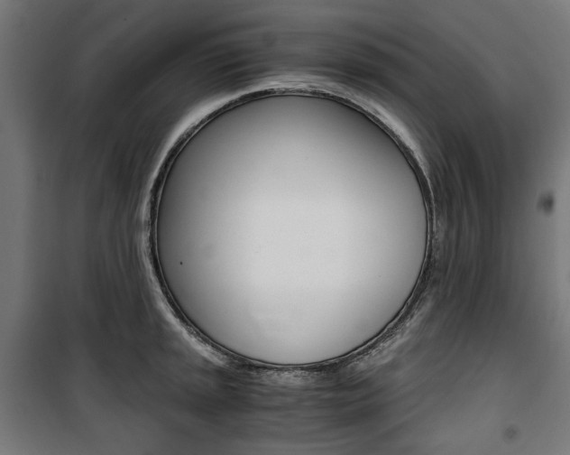 X0000100881045200806201142