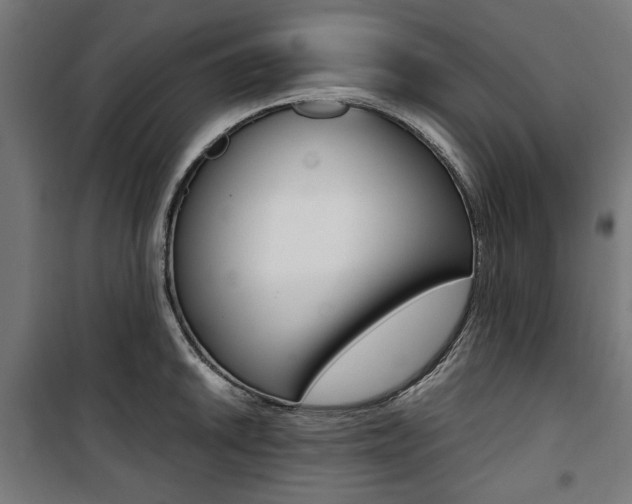 X0000100881046200806201142