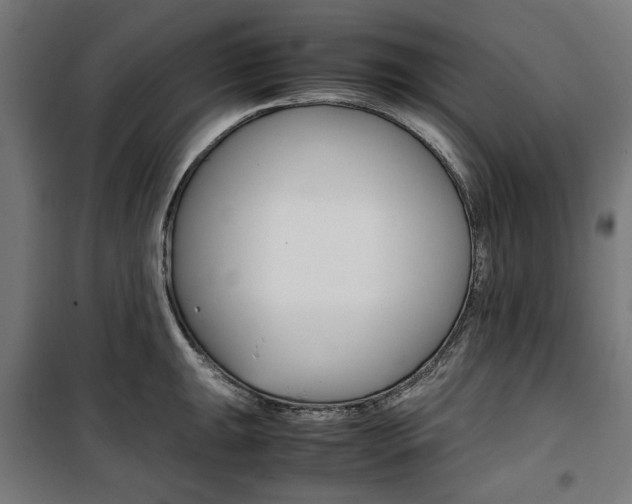 X0000100881047200806201142
