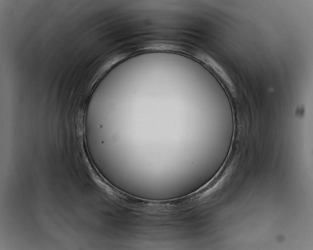 X0000100881049200806201142