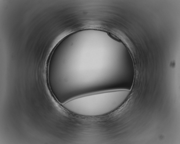 X0000100881050200806201142