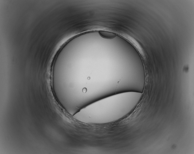 X0000100881051200806201142