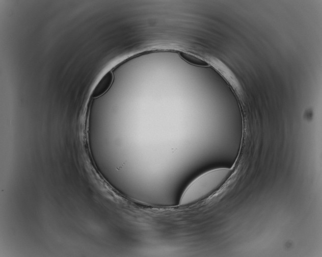 X0000100881052200806201142