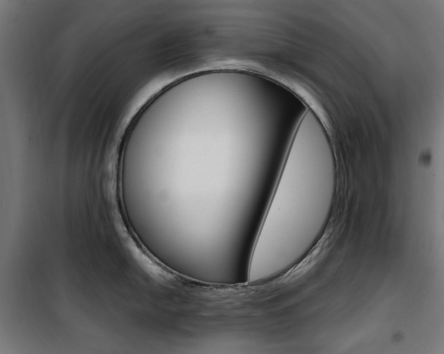 X0000100881054200806201142