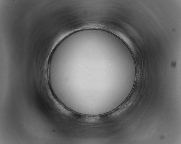 X0000100881055200806201142