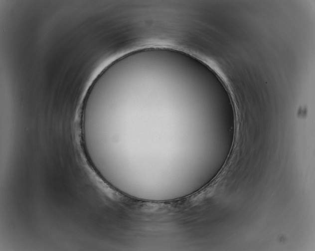 X0000100881056200806201142