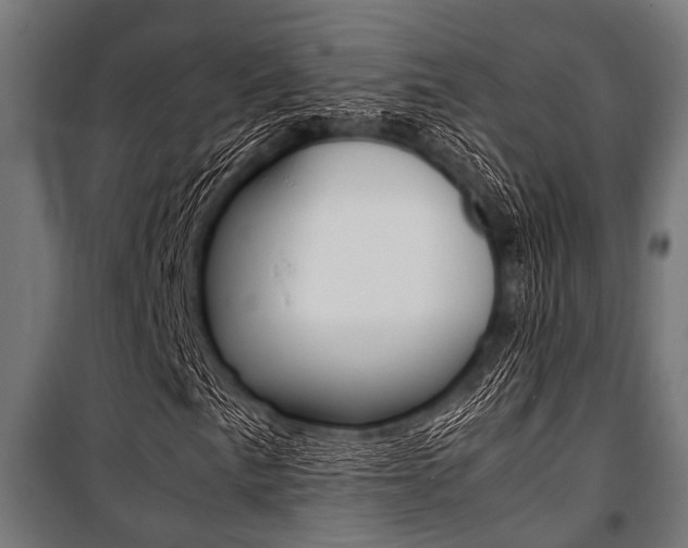 X0000100881057200806201142
