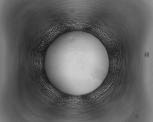 X0000100881058200806201142