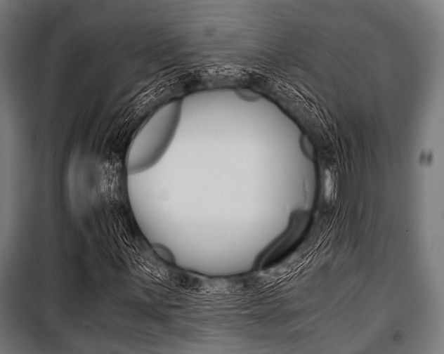 X0000100881059200806201142