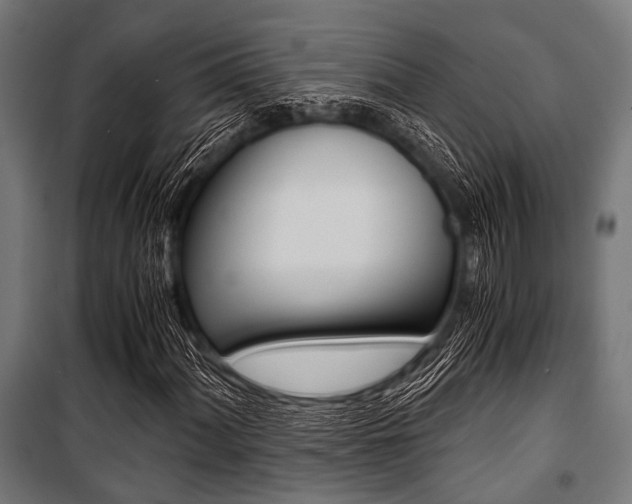 X0000100881060200806201142