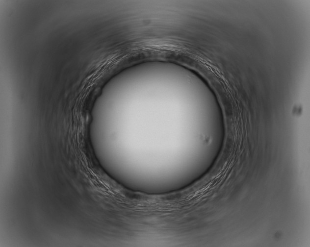 X0000100881061200806201142