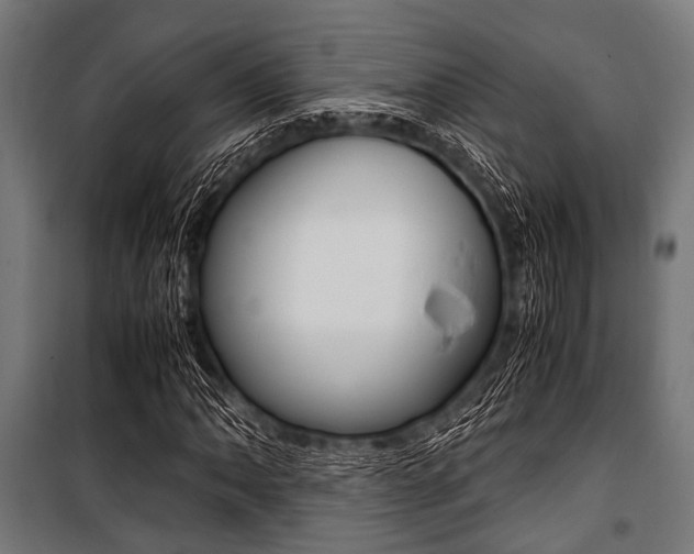 X0000100881062200806201142