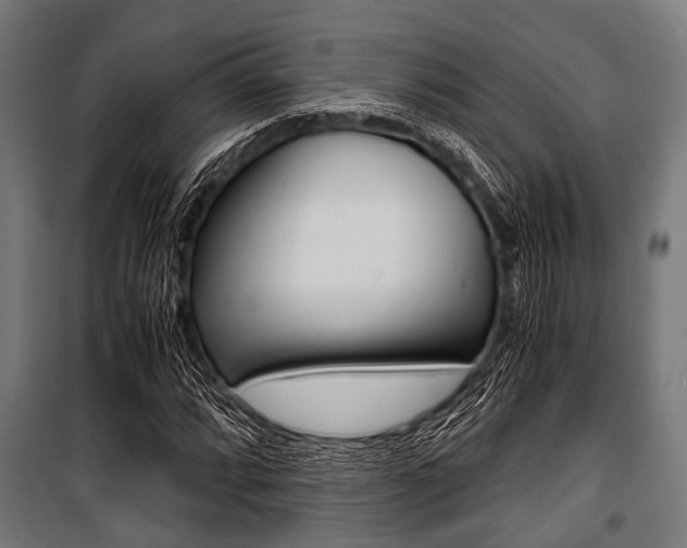 X0000100881064200806201141