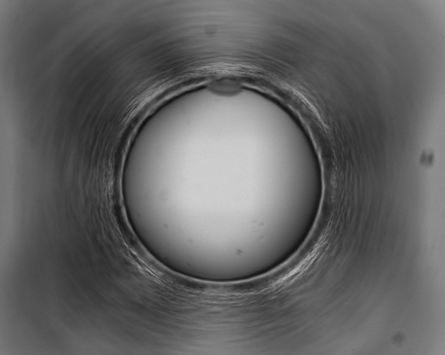 X0000100881065200806201141