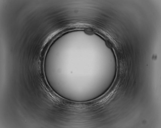 X0000100881066200806201141