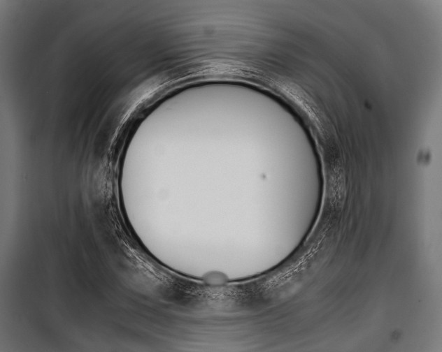X0000100881067200806201141