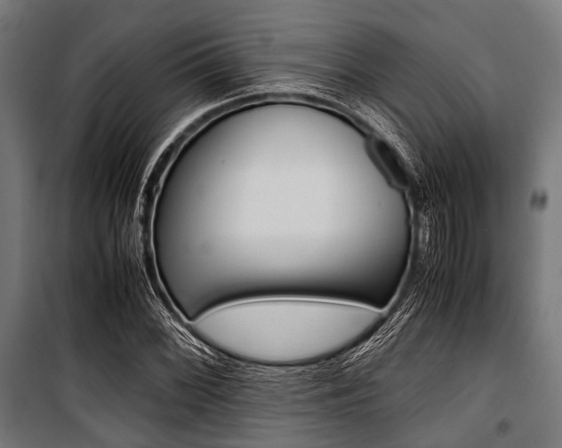 X0000100881068200806201141