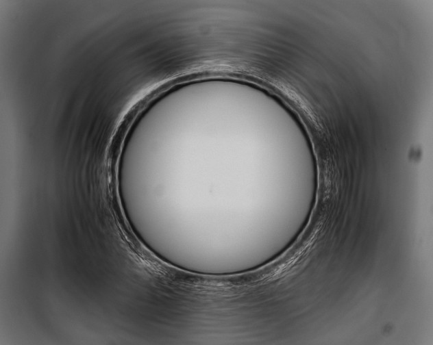 X0000100881070200806201141