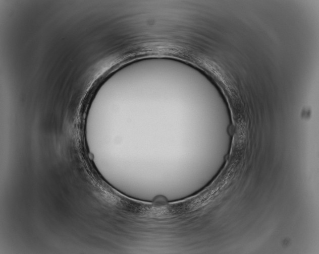 X0000100881071200806201141