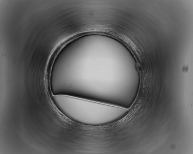 X0000100881072200806201141