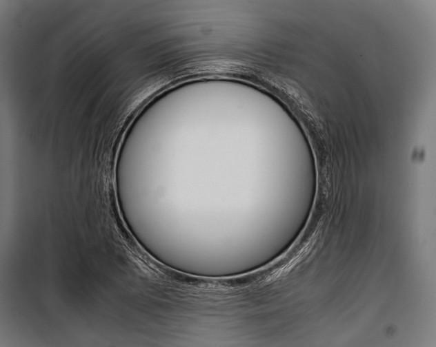X0000100881073200806201141