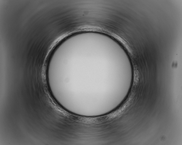 X0000100881074200806201141