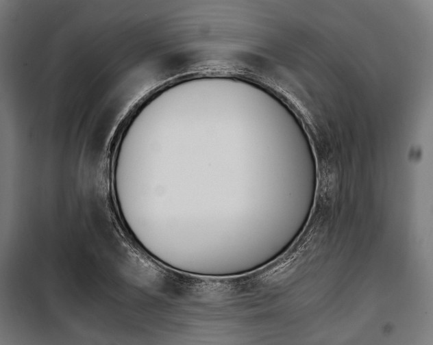 X0000100881075200806201141