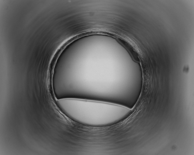 X0000100881076200806201141