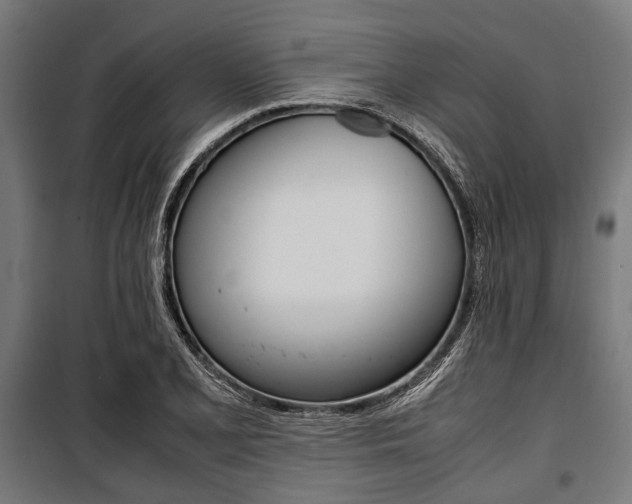 X0000100881077200806201141