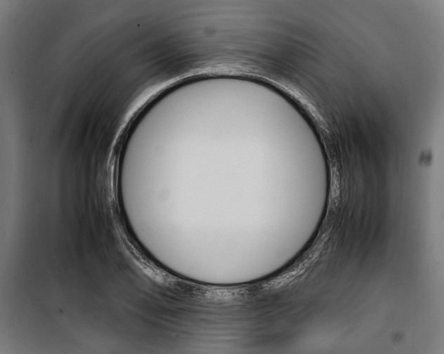 X0000100881078200806201141