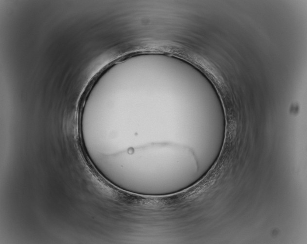 X0000100881079200806201141