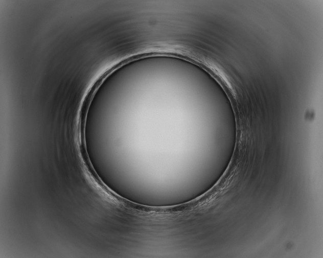 X0000100881080200806201141