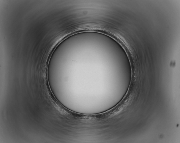 X0000100881081200806201141