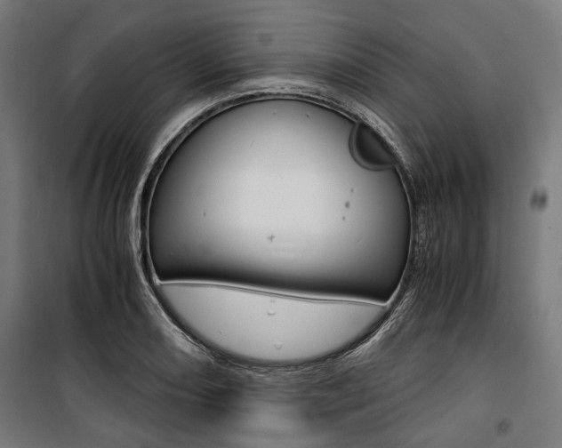 X0000100881082200806201141
