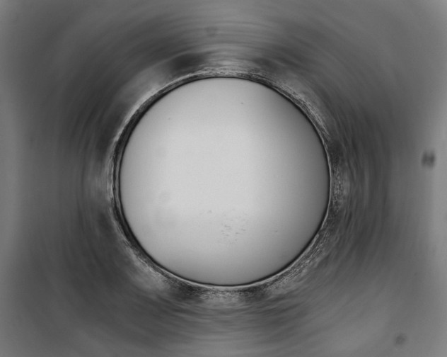 X0000100881083200806201141