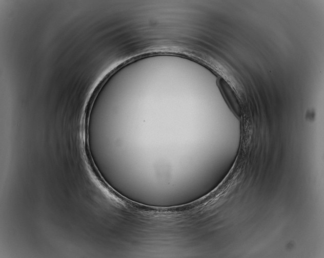 X0000100881084200806201141