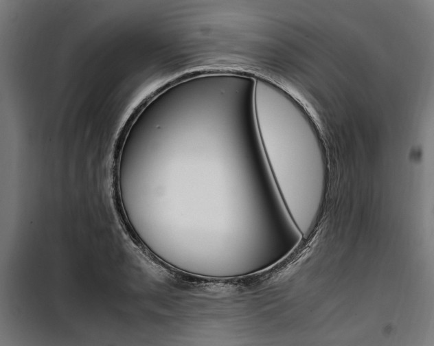 X0000100881085200806201141
