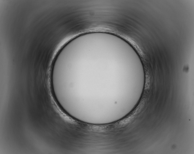 X0000100881086200806201141