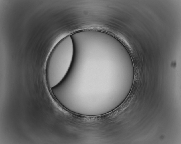 X0000100881087200806201141